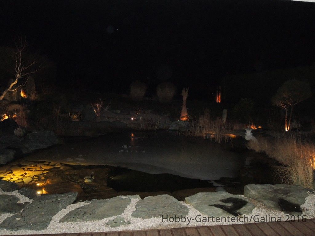 DSCN7927.JPG