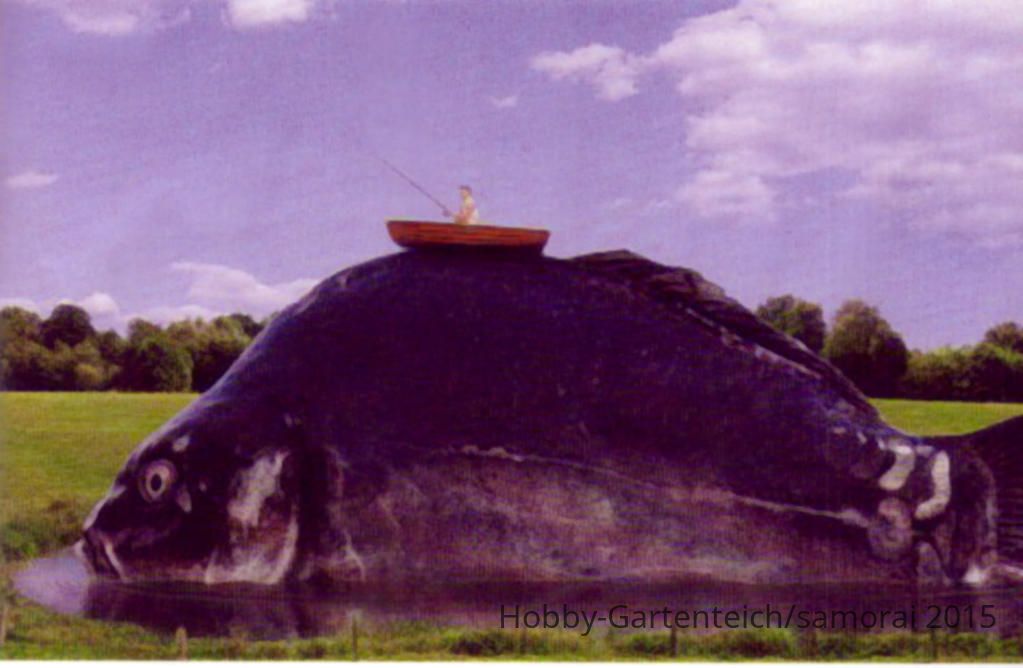 Fisch mit Teich.jpg
