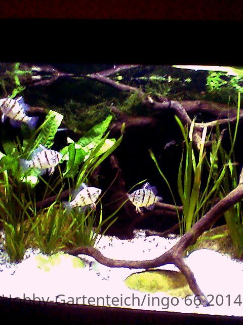 Foto-0001.jpg