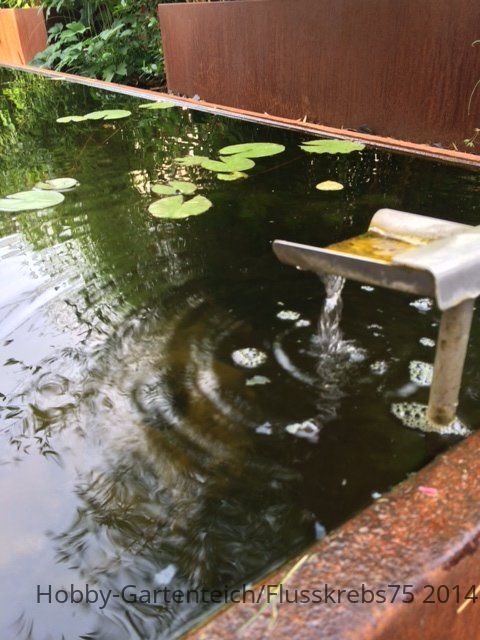 Foto 5.JPG