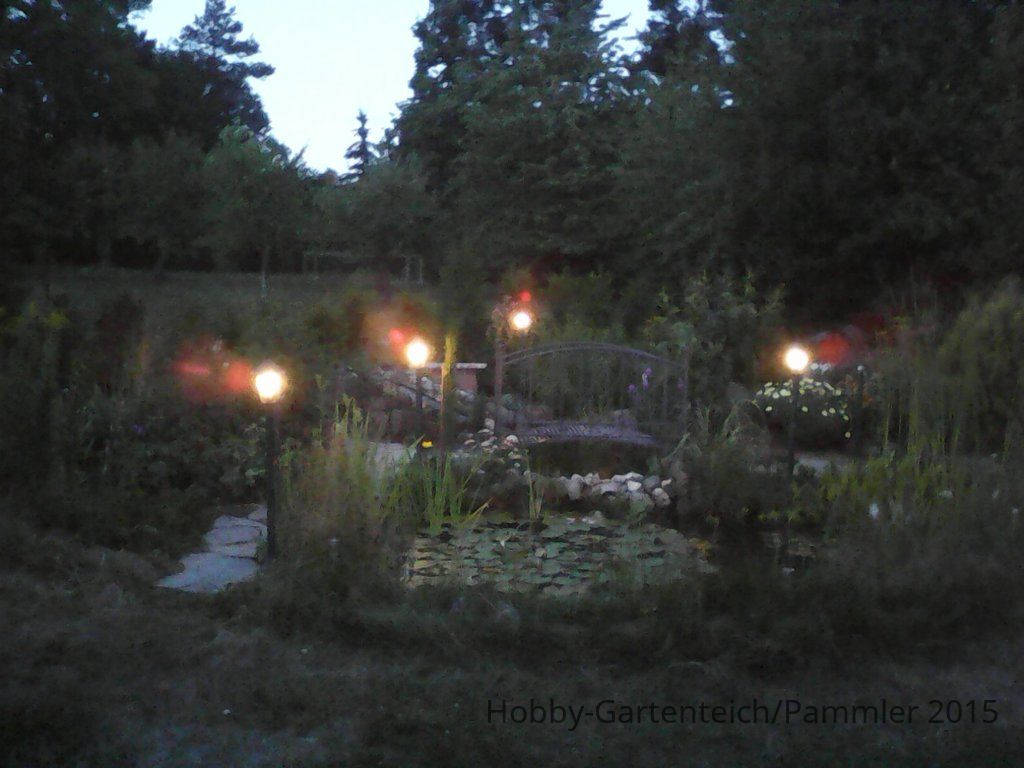 IMG0161A.jpg