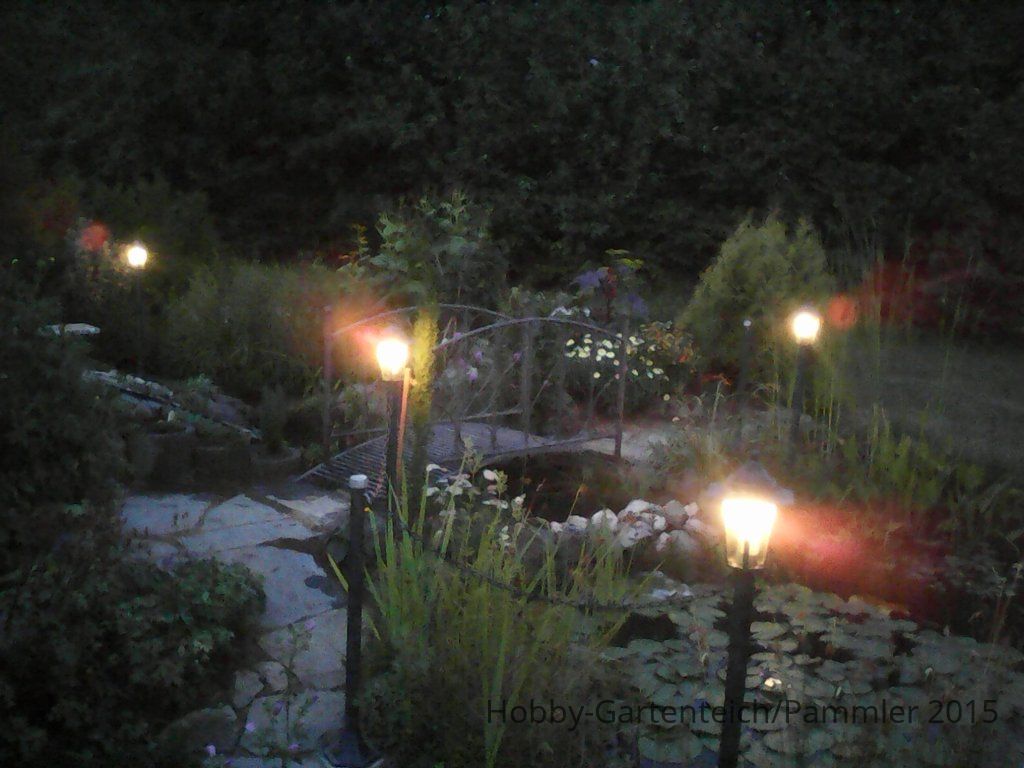 IMG0163A.jpg