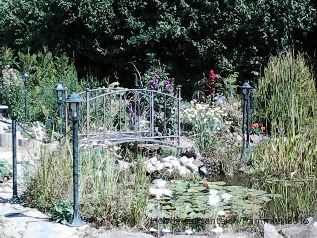 IMG0186A.jpg