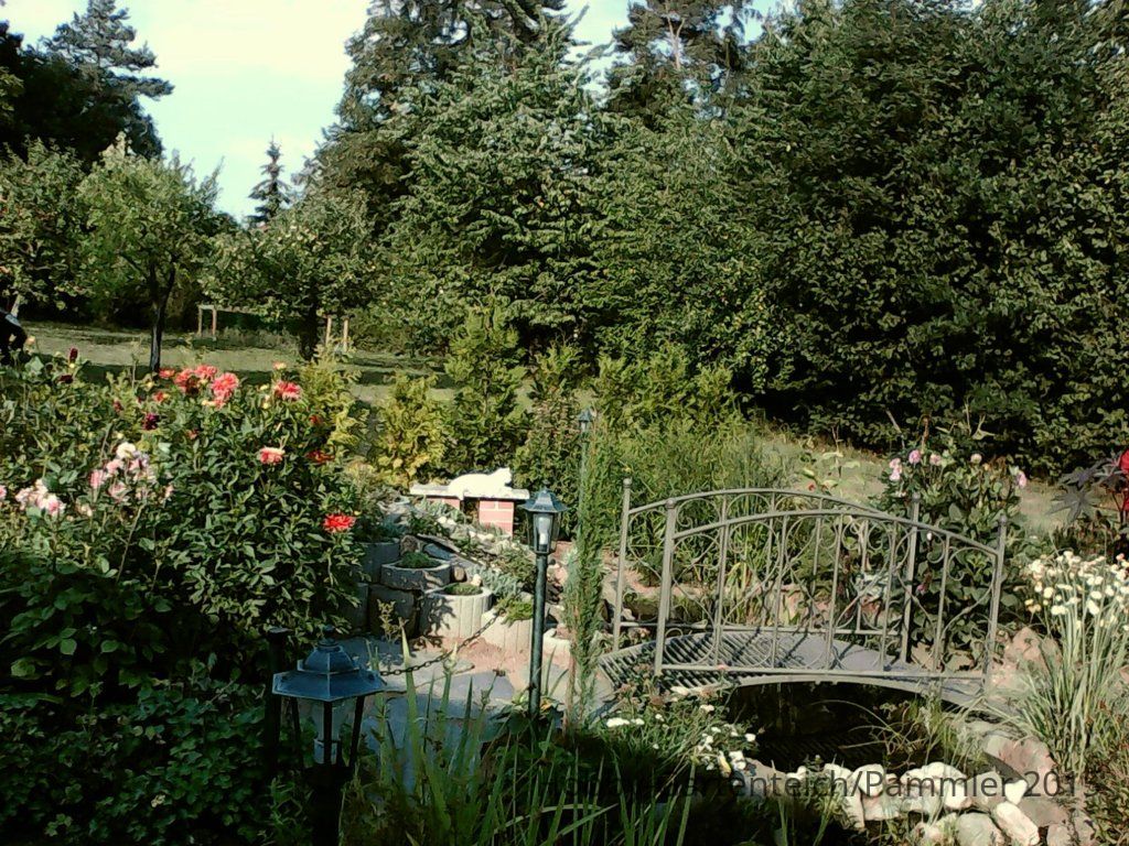 IMG0197Aa.jpg