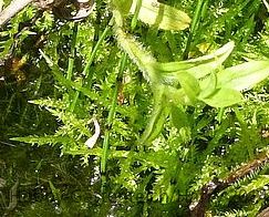 IMG_20140826_100835.jpg