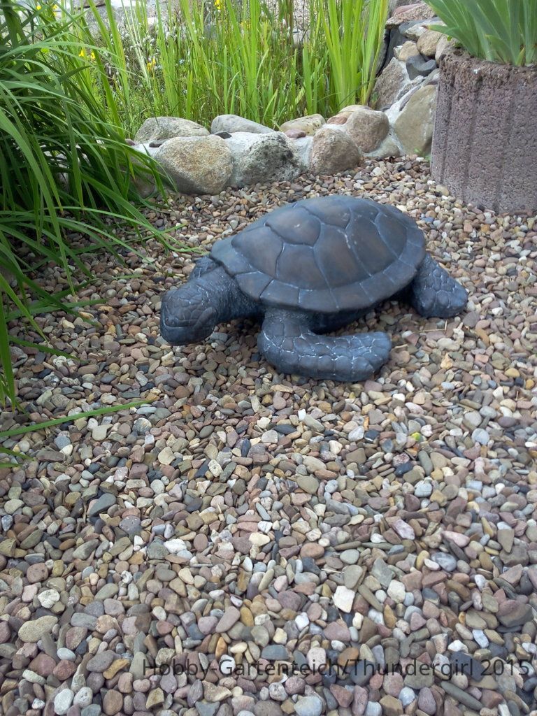 IMG_20150615_174326.jpg