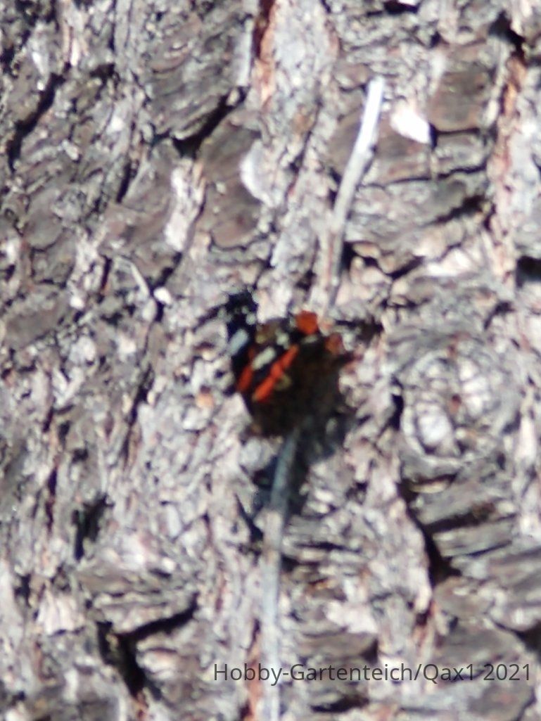 IMG_20210913_121505642.jpg