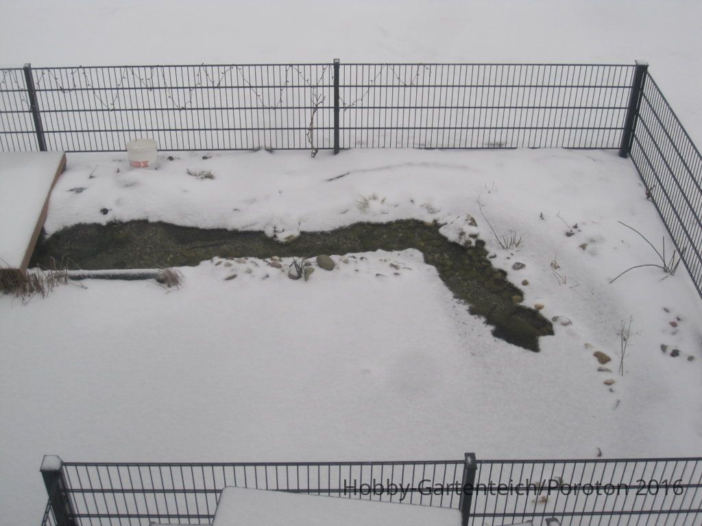 IMG_3370.JPG