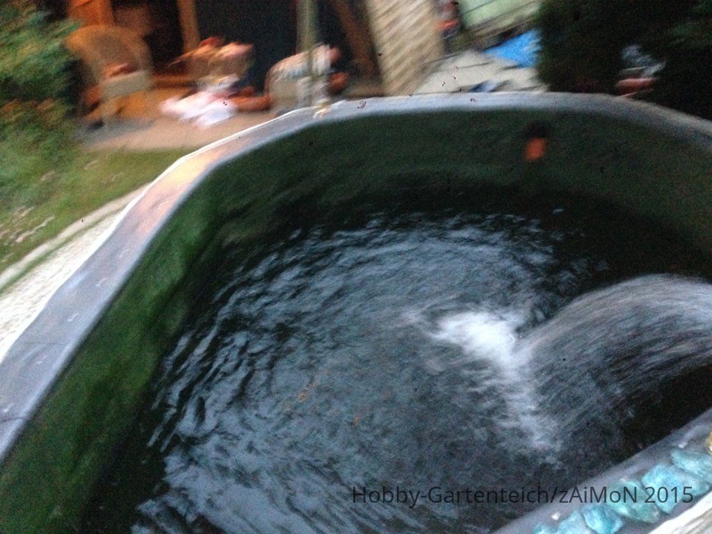 IMG_3512.JPG
