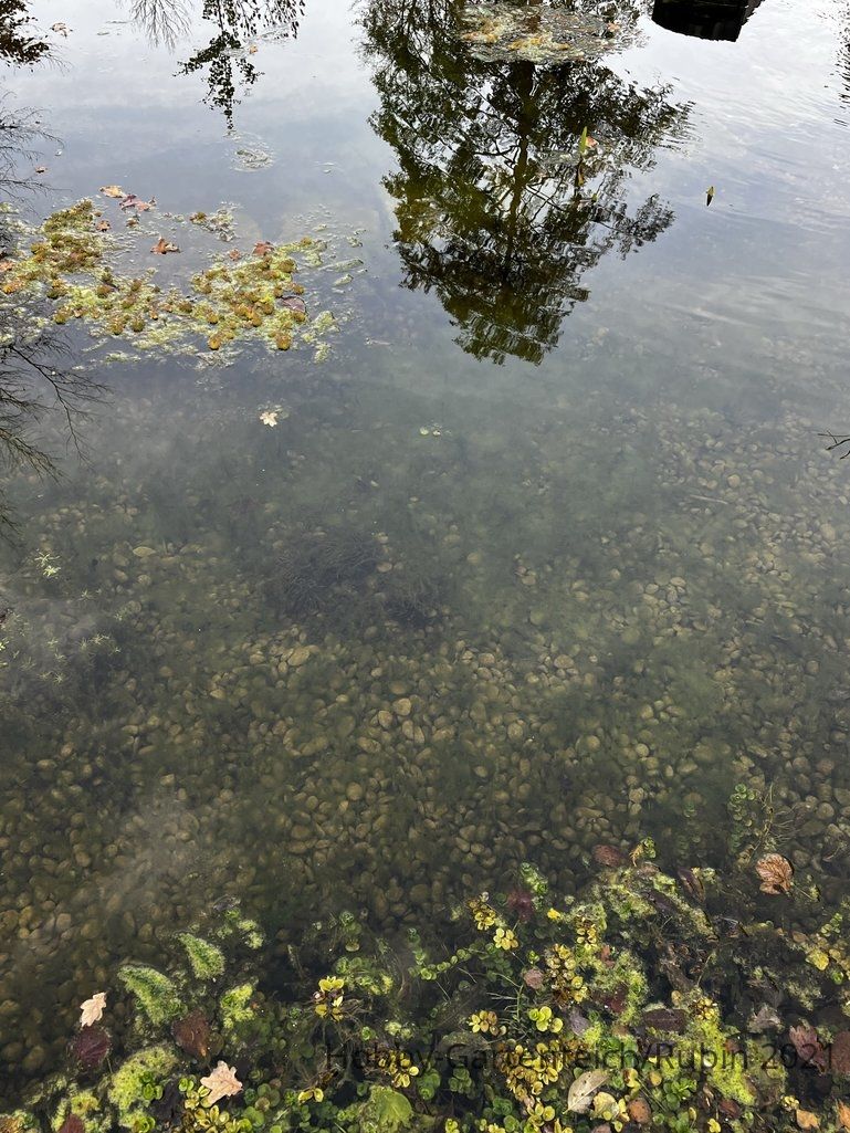 IMG_3538.JPEG