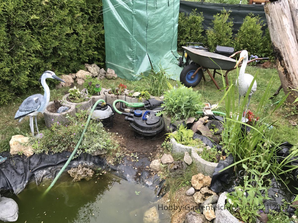 www.hobby-gartenteich.de