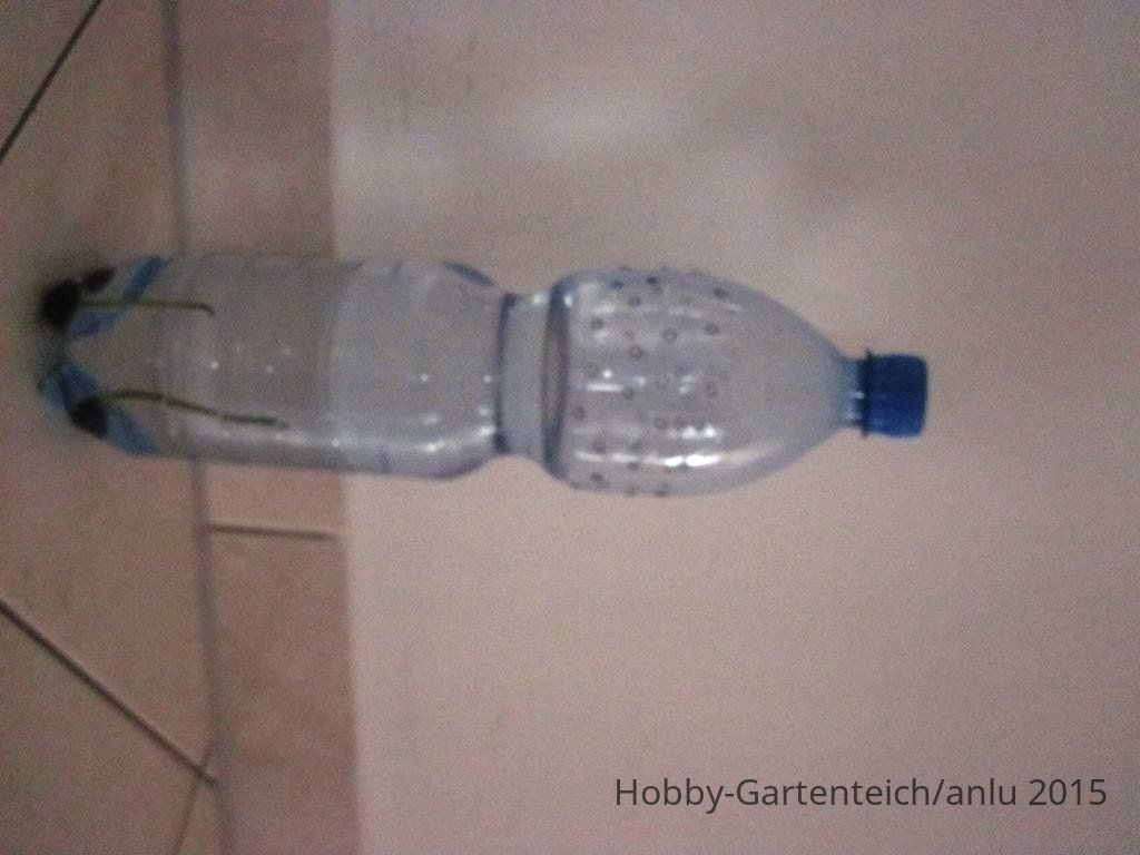 IMG_4333.jpg
