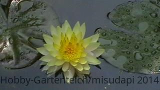 IMGA0458 (Copy).JPG