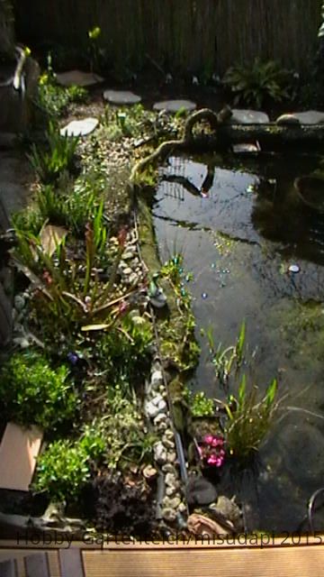 IMGA0819.JPG