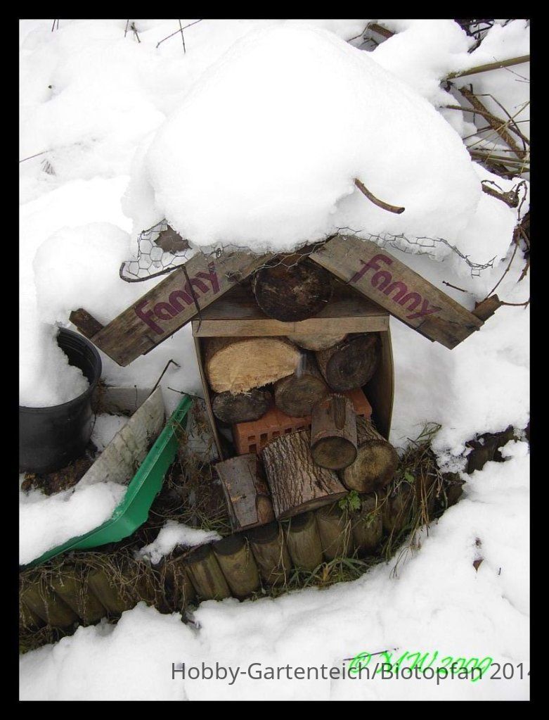 Insektenhotel.jpg
