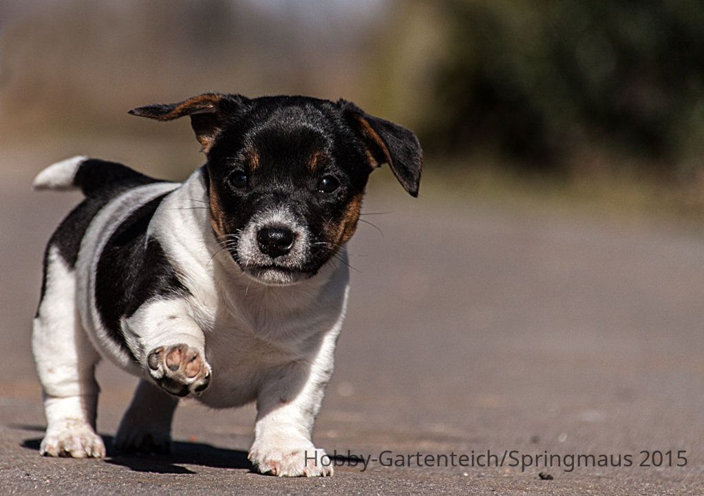 Jack09.03.2015.jpg