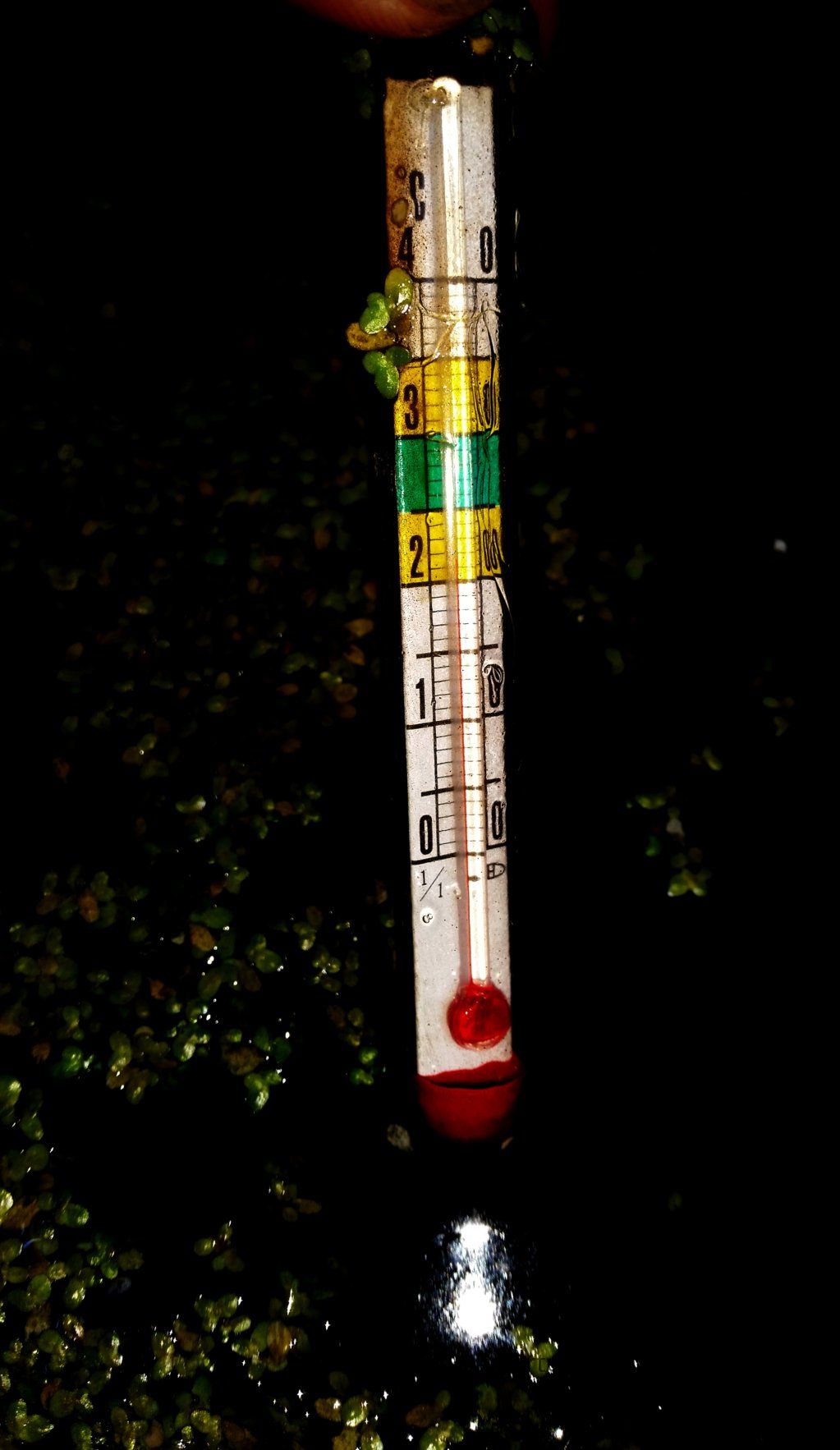 Knapp 22° Heinz Ketchup.jpg