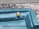 Leeres Becken1.jpg