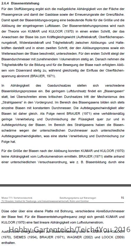 Lufteintrag Blasenbildung.jpg