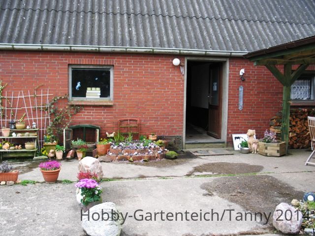 miniteich-fertig-090414-2-jpg.129378