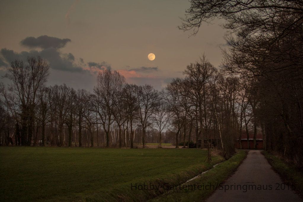 Mondlandschaft.jpg