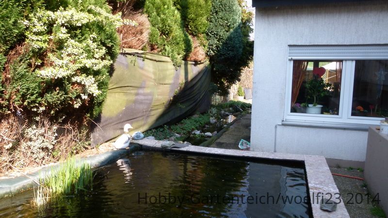 P1010213_Bildgröße ändern.JPG