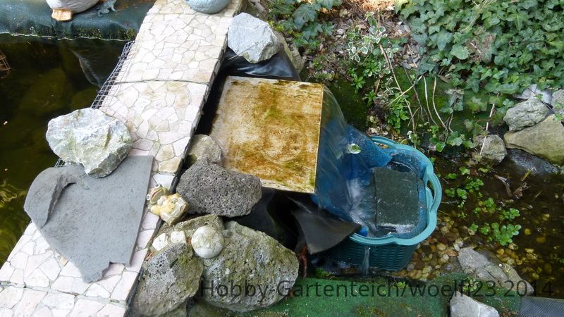 P1010215_Bildgröße ändern.JPG