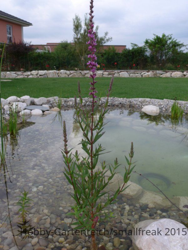 P1020064.JPG
