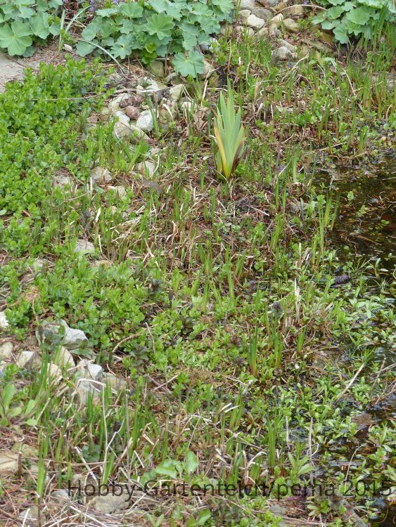 P1020152_743.JPG