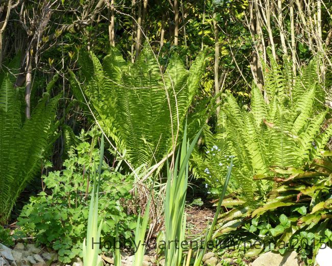P1020211_750.JPG