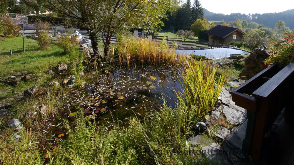 P1250017_2014-10-13_Oberer-und-Unterer-See.JPG