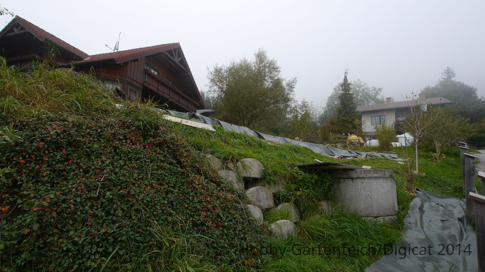 P1250030_2014-10-13_Böschung.JPG