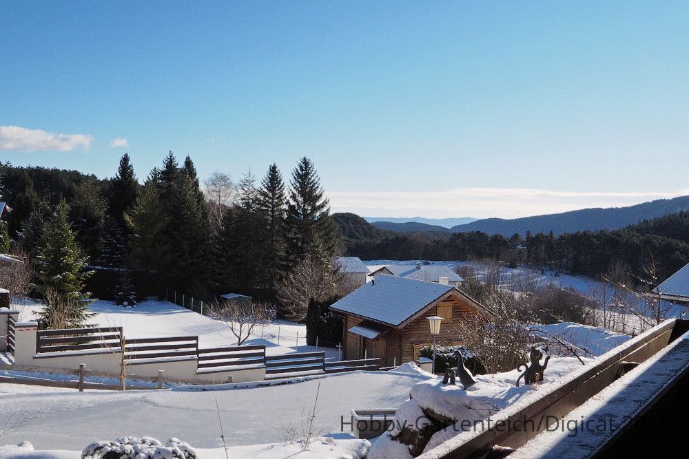 P1311671_2015-01-31_Schnee.JPG