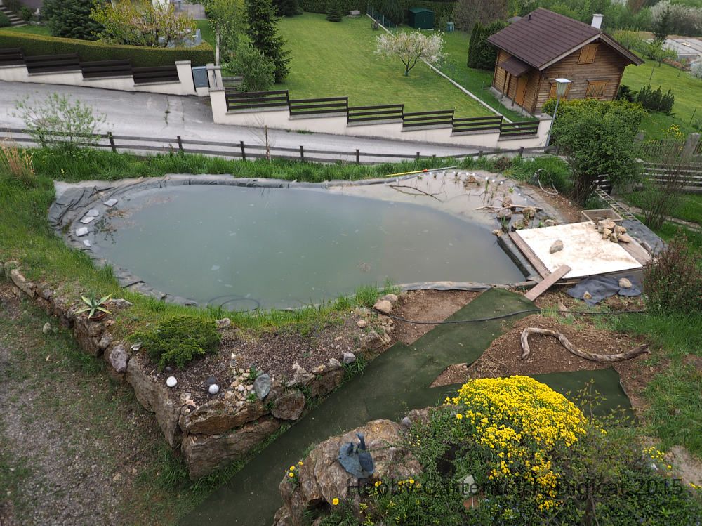 P5031791_2015-05-03_Teich-groß_Balkon_HGT.JPG