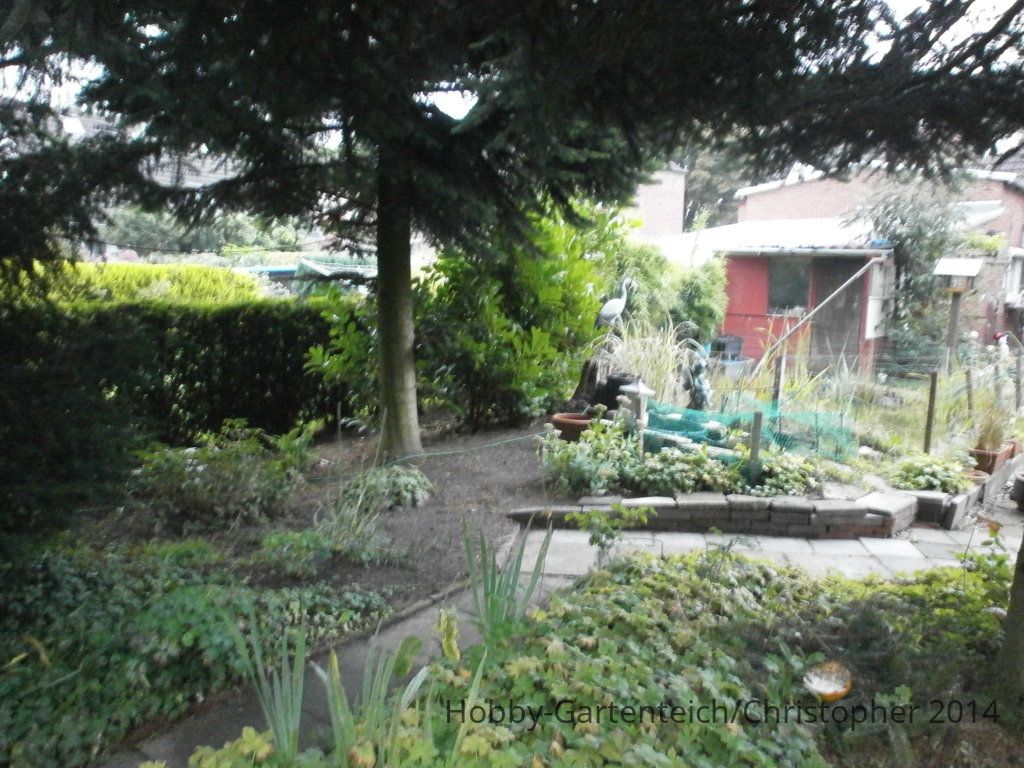 P9020048.JPG