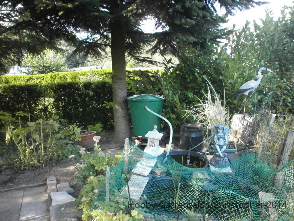 P9040009.JPG