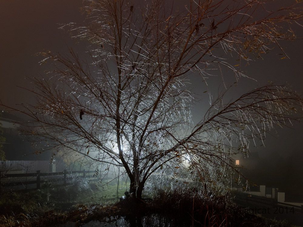 PC010200_2014-12-01_Eisregen_HGT.jpg