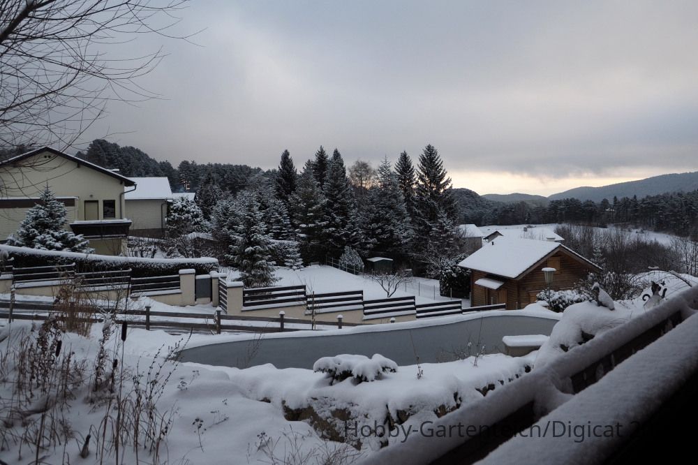 PC271206_2014-12-27_Winter.JPG