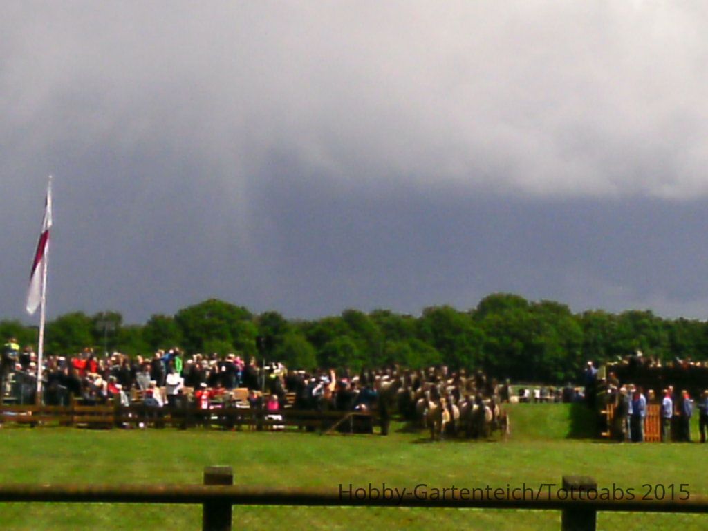 PTDC0049.JPG