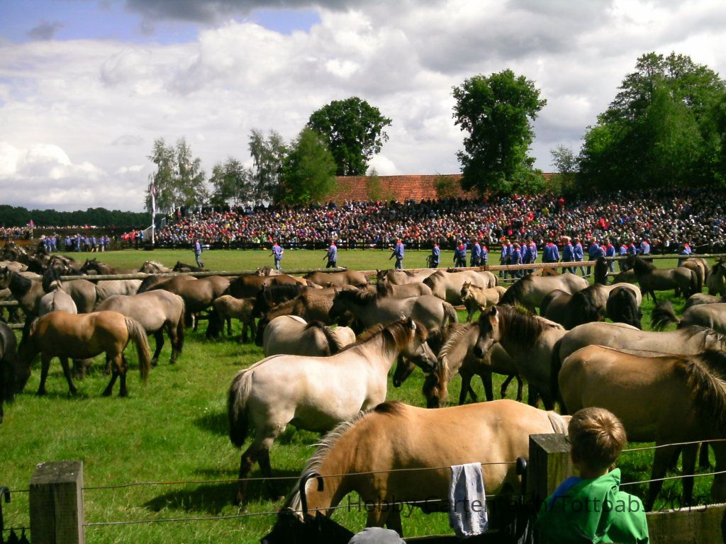 PTDC0091.JPG