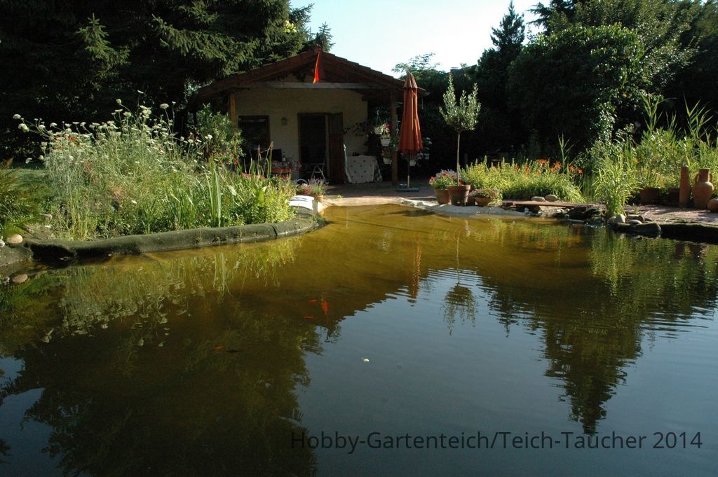 schwimm_01[1].jpg