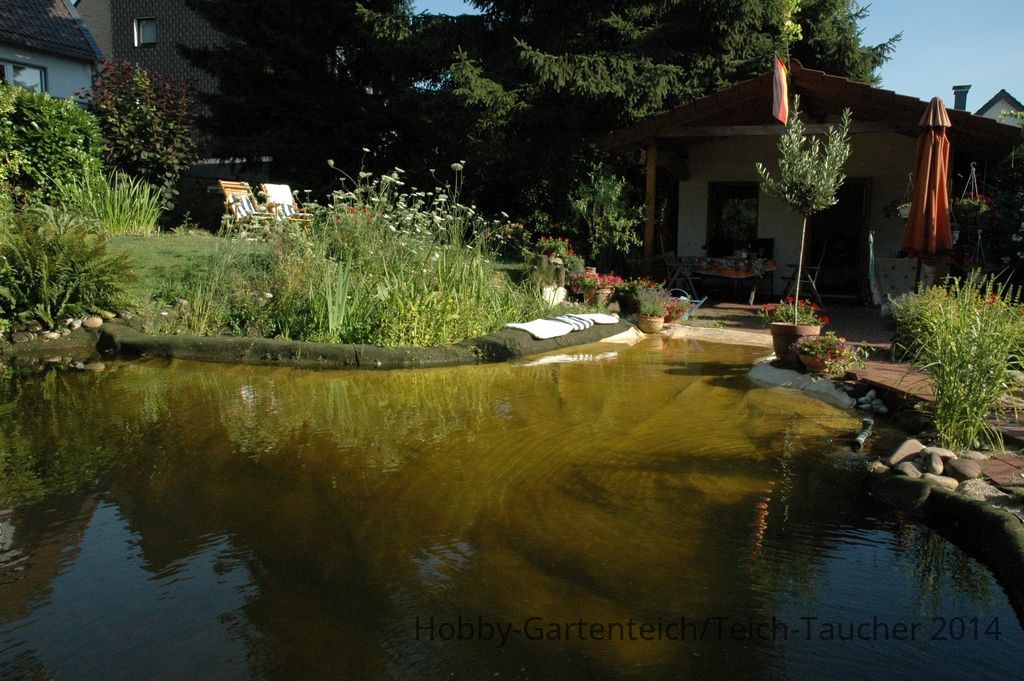 schwimm_03[1].jpg