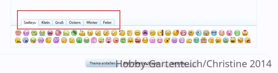 smileyeinfuegen2.JPG
