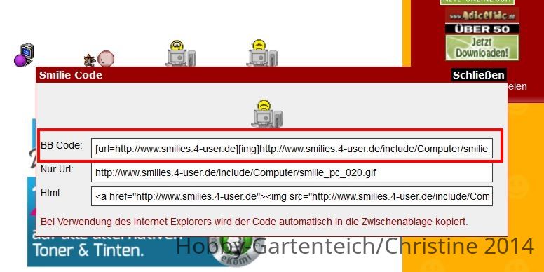 smileyeinfuegen3.JPG