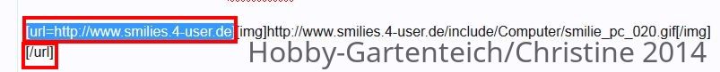 smileyeinfuegen4.JPG