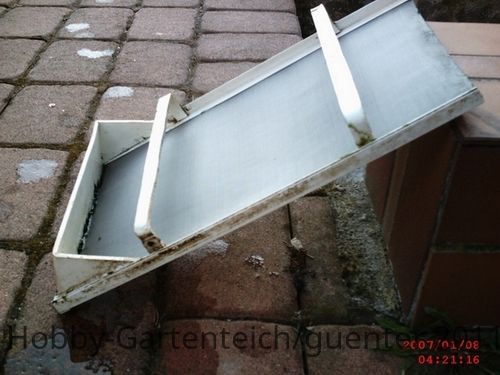 sunp0040-jpg.89661