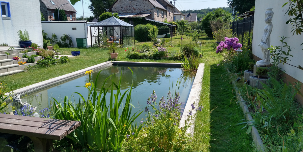Teich 1.png