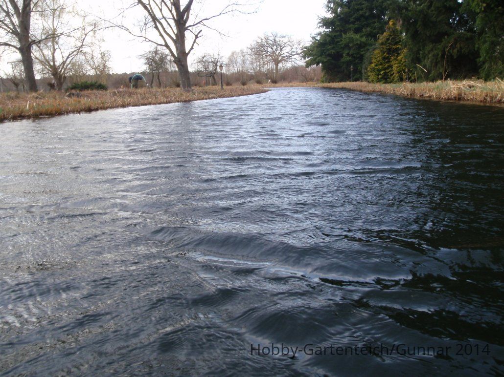 Teich 2014 008.JPG
