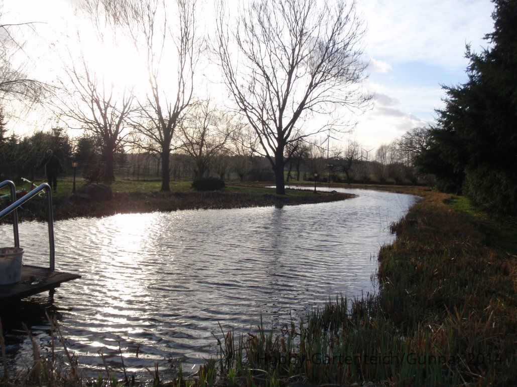 Teich 2014 010.JPG