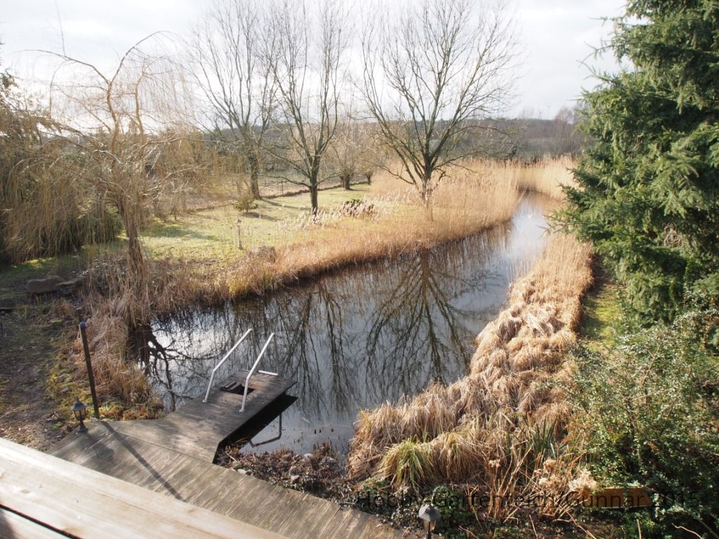 Teich 2015 001e.JPG